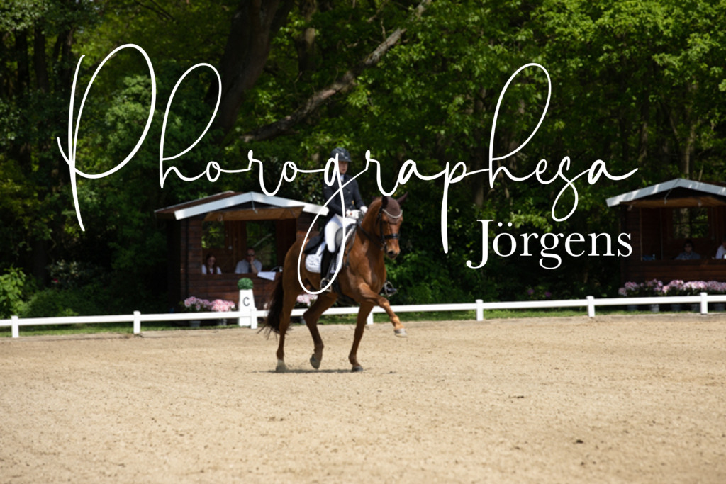 IMG_1186 | photographesa-joergens - Realisiert mit Pictrs.com