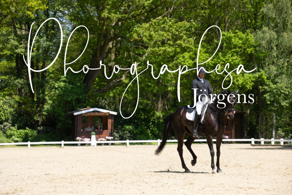 IMG_4498 | photographesa-joergens - Realisiert mit Pictrs.com