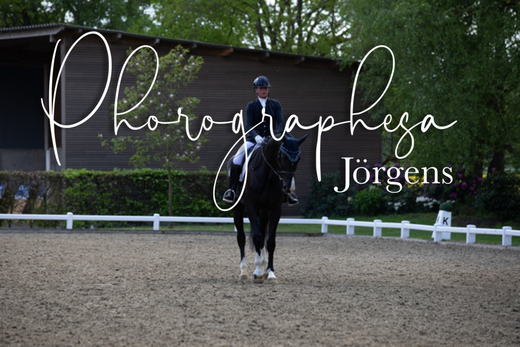 IMG_9417 | photographesa-joergens - Realisiert mit Pictrs.com