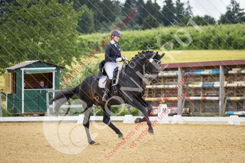 IMG_3543 | Hier findest Du viele Augenblicke aus den Bereichen der Turnier-, Sport- & Tierfotografie. Bilder mit deinem Liebling, Portrait-, Bewerbungs-, Businessbilder können ebenfalls schnell und einfach erstellt werden.