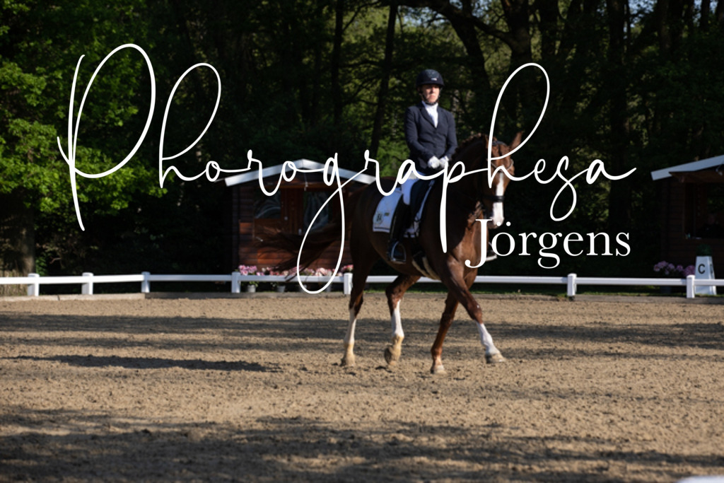 IMG_2459 | photographesa-joergens - Realisiert mit Pictrs.com