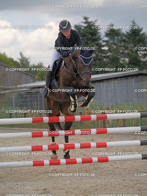 P0186917.t | FP-Foto.de - Realisiert mit Pictrs.com