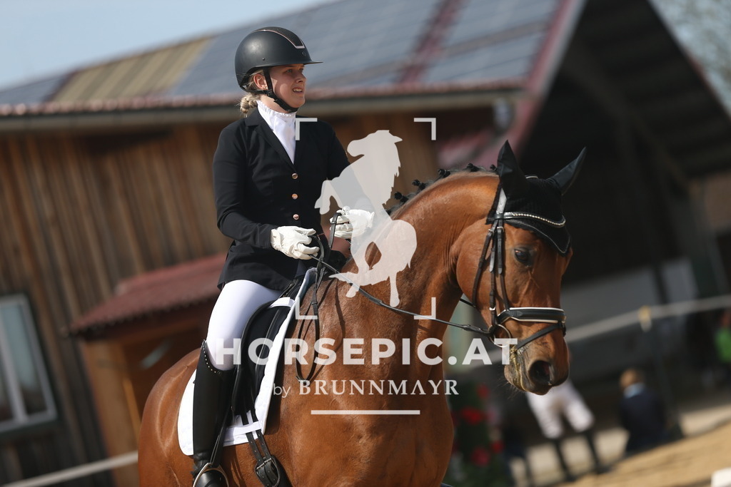 AS8V2912 | Willkommen bei Brunnmayr - Design & Fotografie – Ihrem Spezialisten für Reitturniere und Pferdeveranstaltungen in Oberösterreich, Salzburg und Bayern! Seit über 17 Jahren sind wir leidenschaftlich dabei.