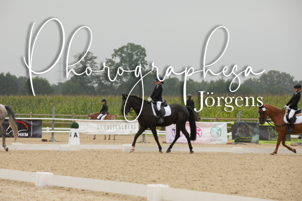 IMG_1500 | photographesa-joergens - Realisiert mit Pictrs.com
