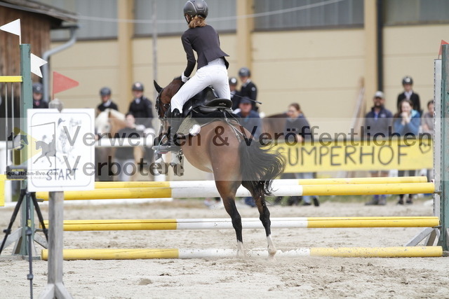 _MG_8246 | equestrian-live-com