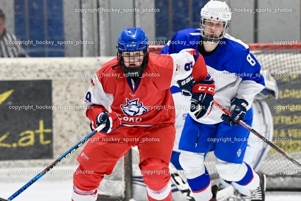 BST_5688 | hockey sports photos, Pressefotos, Sportfotos, hockey247, win 2day icehockeyleague, Handball Austria, Floorball Austria, ÖVV, Kärntner Eishockeyverband, KEHV, KFV, Kärntner Fussballverband, Österreichischer Volleyballverband, Alps Hockey League, ÖFB, 