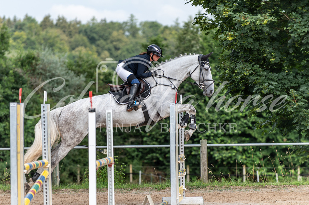 TBL_9878 | Turnierfotos von Reitturnieren in den Landkreisen Biberach, Ravensburg und in ganz Oberschwaben - von Tanja Bläschke - Colorsofahorse - Realisiert mit Pictrs.com