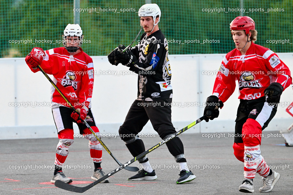 Team Zehenthof vs. HSC Eagles 14.7.2023 | #12 Lamereiner Leon, #66 ALAGIC Adis, #7 Van EE Fin