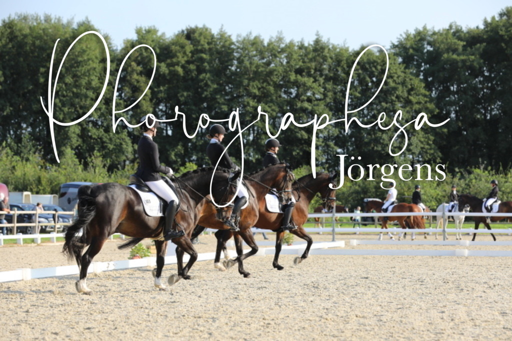 IMG_8609 | photographesa-joergens - Realisiert mit Pictrs.com