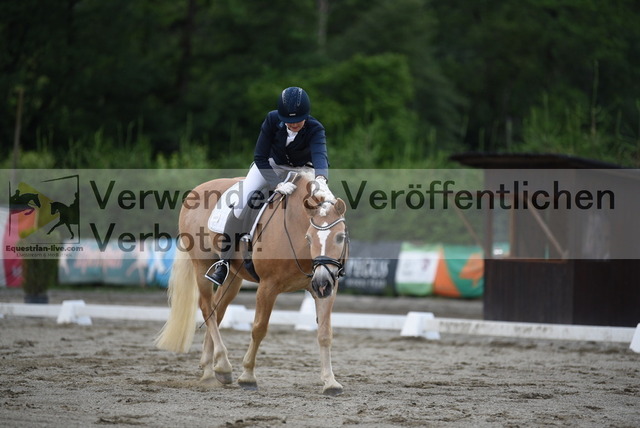 DSC_6678 | equestrian-live-com