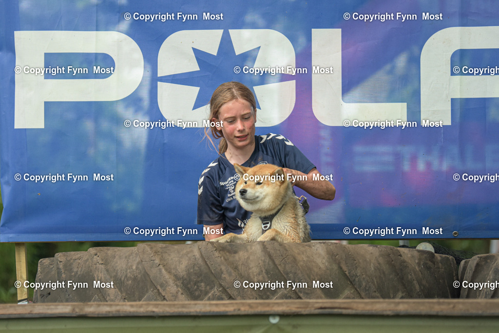DSC_0530 | Hallo und herzlich Willkommen auf meiner Shop-Seite Fynn Most.

Ich wünsche Dir viel Spaß beim stöbern durch die Bilder, wenn Du Fragen hast oder Bilder vermisst, kannst du mir gerne eine Nachricht schreiben. - Realisiert mit Pictrs.com