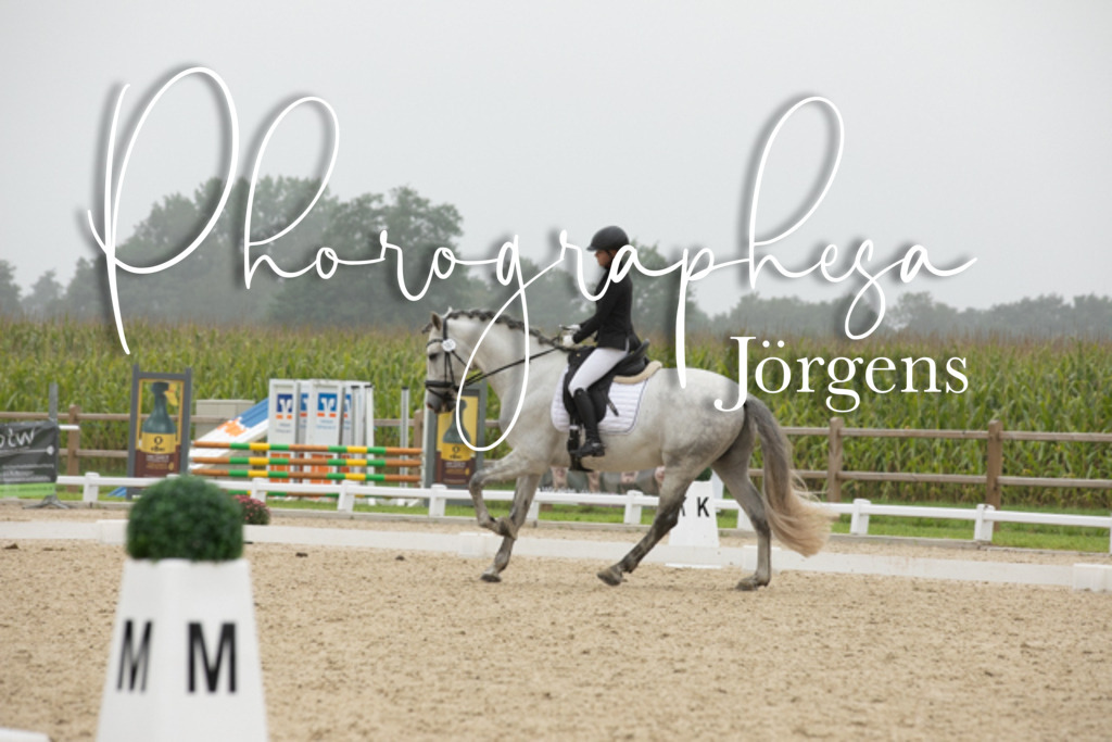 IMG_0638 | photographesa-joergens - Realisiert mit Pictrs.com