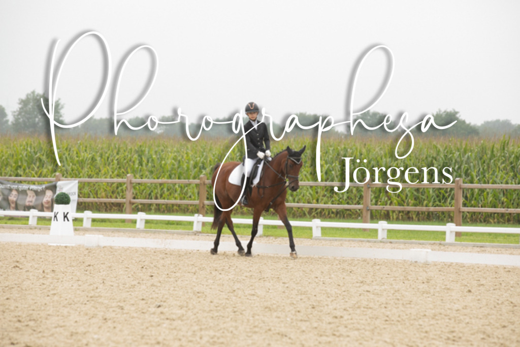 IMG_1134 | photographesa-joergens - Realisiert mit Pictrs.com