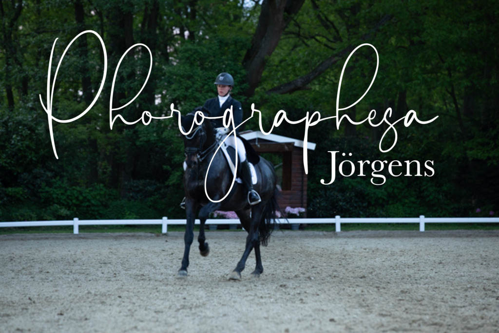 IMG_9754 | photographesa-joergens - Realisiert mit Pictrs.com