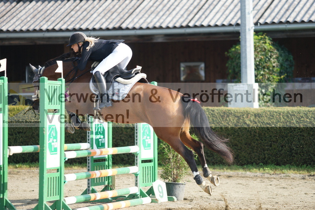 DSC07766 | equestrian-live-com