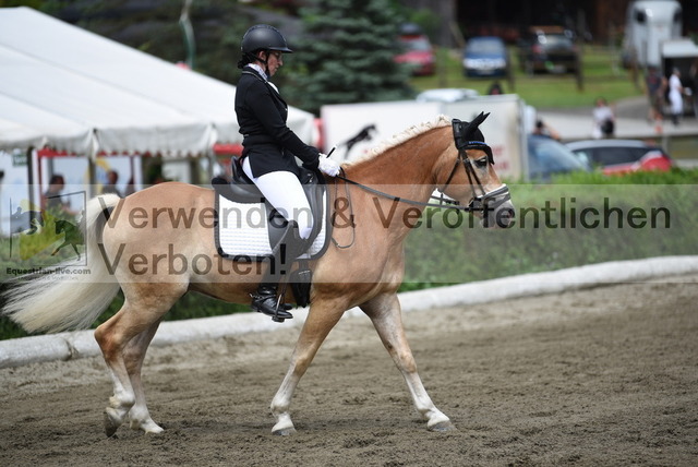 DSC_3264 | equestrian-live-com