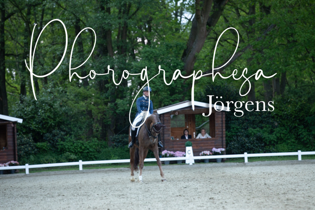 IMG_9640 | photographesa-joergens - Realisiert mit Pictrs.com