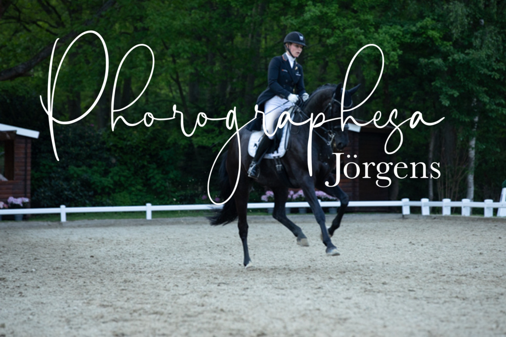 IMG_9711 | photographesa-joergens - Realisiert mit Pictrs.com