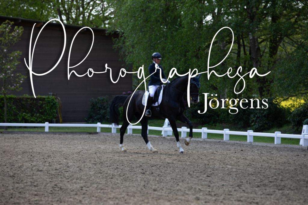 IMG_9411 | photographesa-joergens - Realisiert mit Pictrs.com