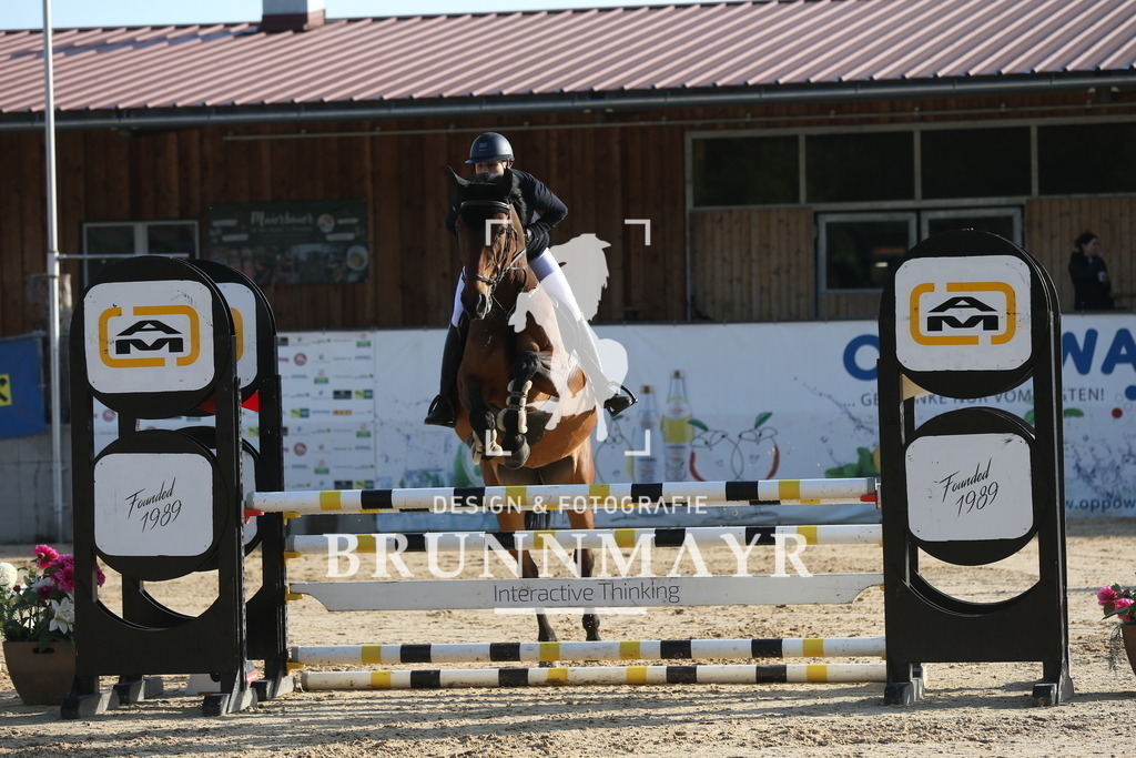 DL2Q0099 | Willkommen bei Brunnmayr - Design & Fotografie – Ihrem Spezialisten für Reitturniere und Pferdeveranstaltungen in Oberösterreich, Salzburg und Bayern! Seit über 17 Jahren sind wir leidenschaftlich dabei.