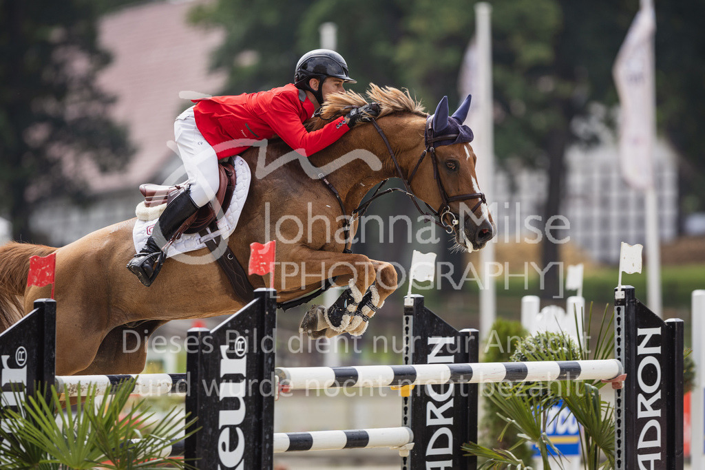 230730_BHO_S-Spr_ASC-515 | Pferdesportfotografie Reitsportfotografie Horsesports Photography Stockfotos Reitsportfotos Pferdefotos