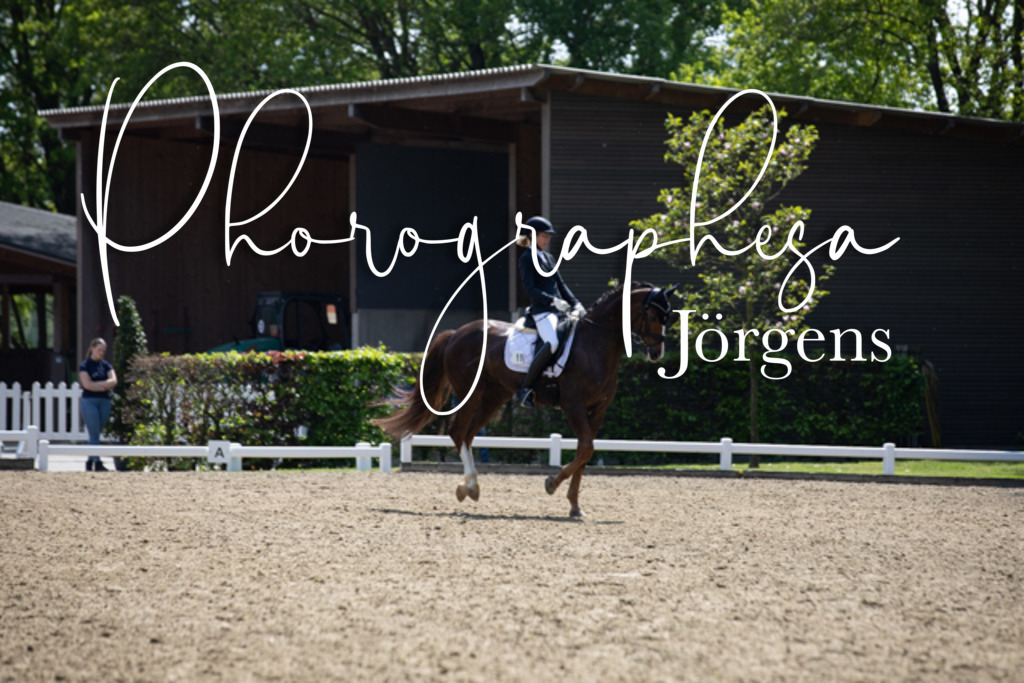 IMG_8881 | photographesa-joergens - Realisiert mit Pictrs.com
