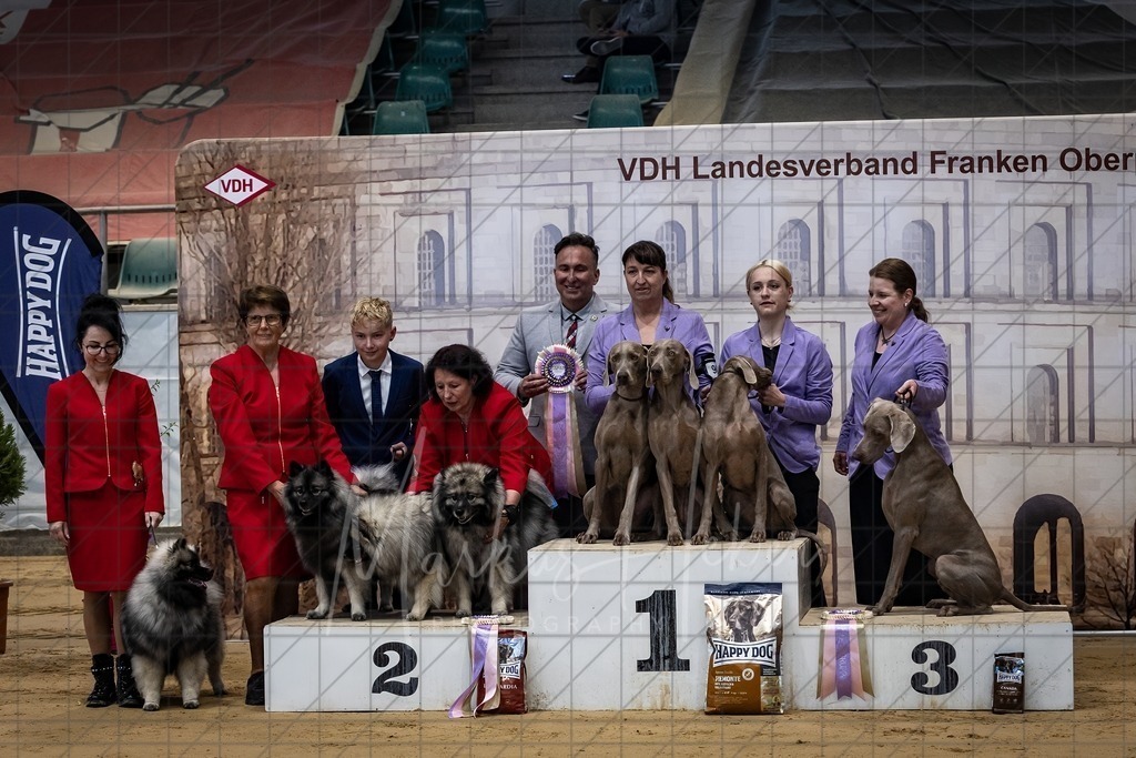 DS - Zuchtgruppe_0043 | Markus Heber Photography