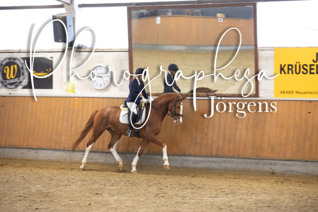 f26876416 | photographesa-joergens - Realisiert mit Pictrs.com