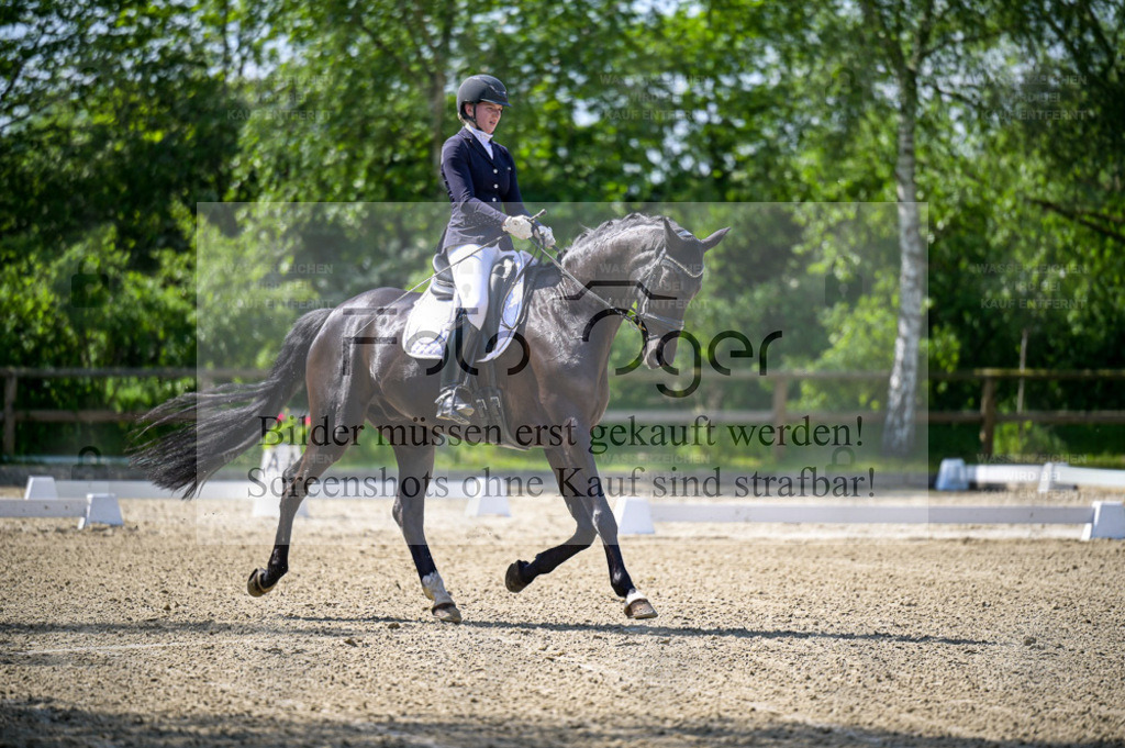 Reitturnier Lienen | Bilder aus dem Reitsport by Foto Oger - Domenic Schlinge - Realisiert mit Pictrs.com