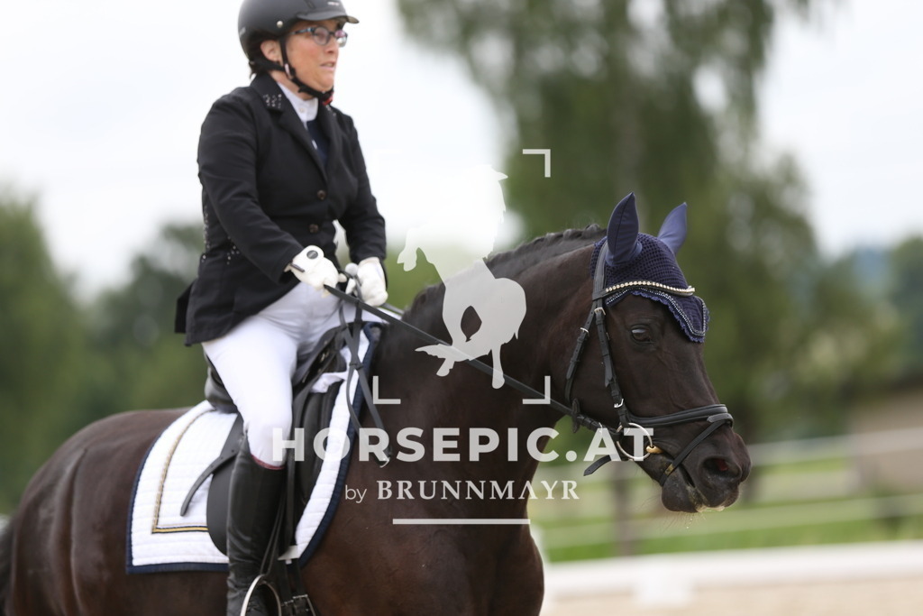 AS8V1572 | Willkommen bei Brunnmayr - Design & Fotografie – Ihrem Spezialisten für Reitturniere und Pferdeveranstaltungen in Oberösterreich, Salzburg und Bayern! Seit über 17 Jahren sind wir leidenschaftlich dabei.