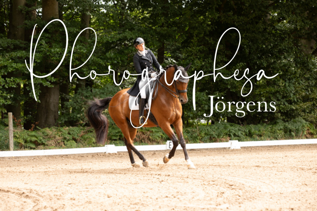 IMG_2359 | photographesa-joergens - Realisiert mit Pictrs.com