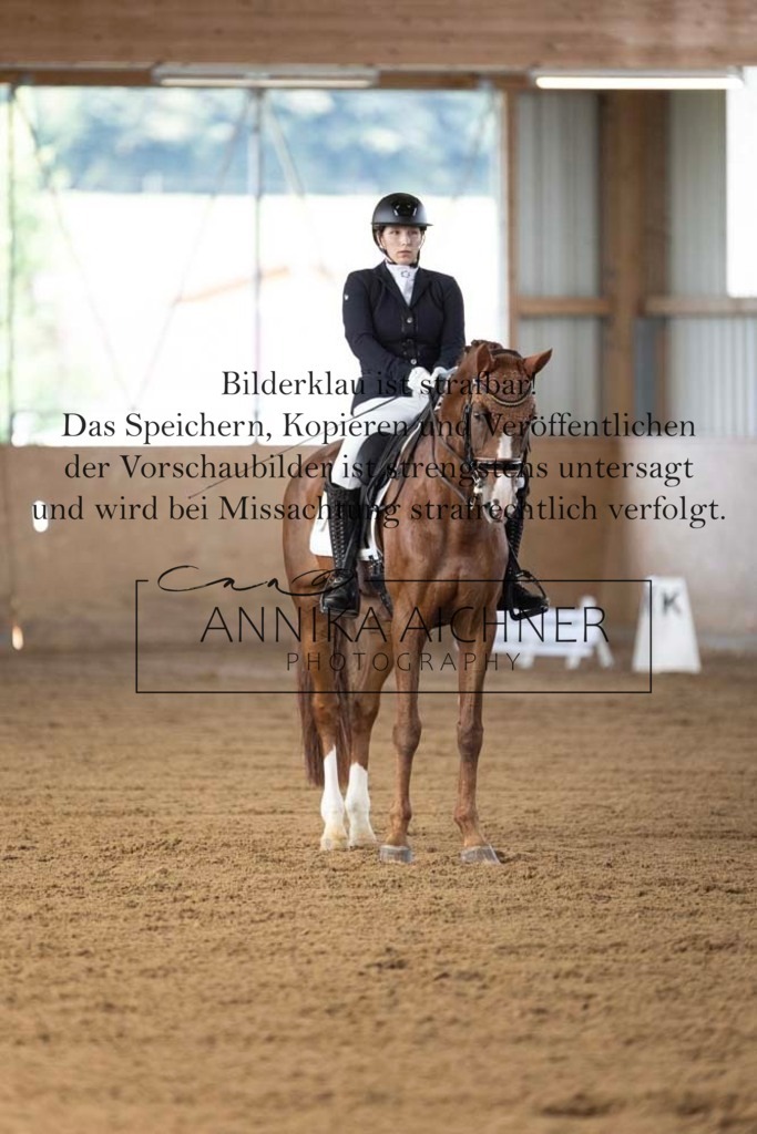 CK4A0746 | Annika Aichner Fotografie | Turnierfotografin | Turniere Niederbayern | Springturnier | Dressurturnier | Obermünchen | Geisenhausen | Mainburg | Neukirchen | Turnierbilder | Turnierfotos | Reitsport - Realisiert mit Pictrs.com