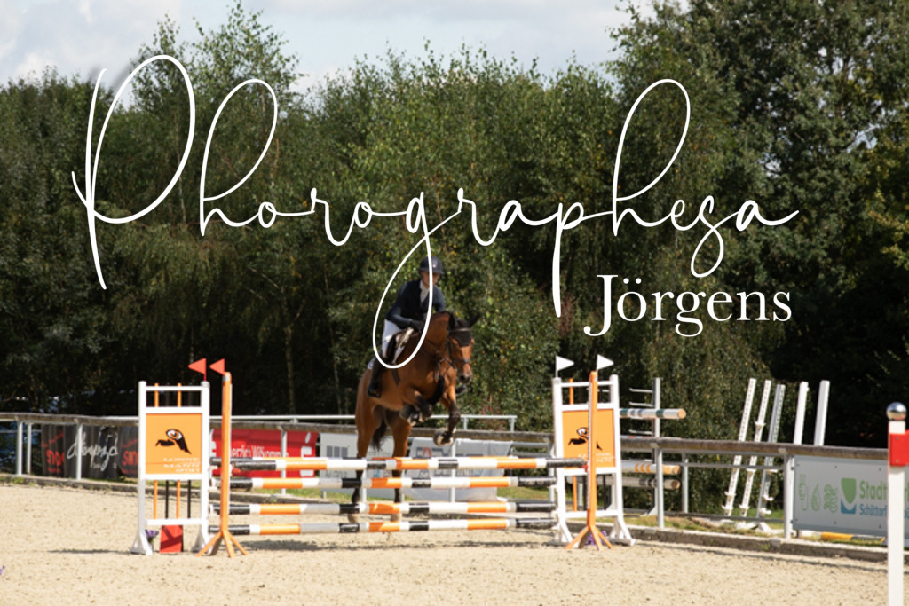 IMG_8514 | photographesa-joergens - Realisiert mit Pictrs.com