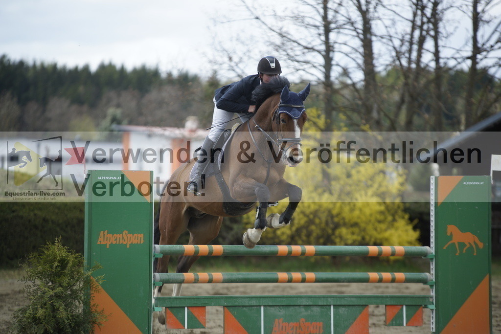 _DSC9065 | equestrian-live-com