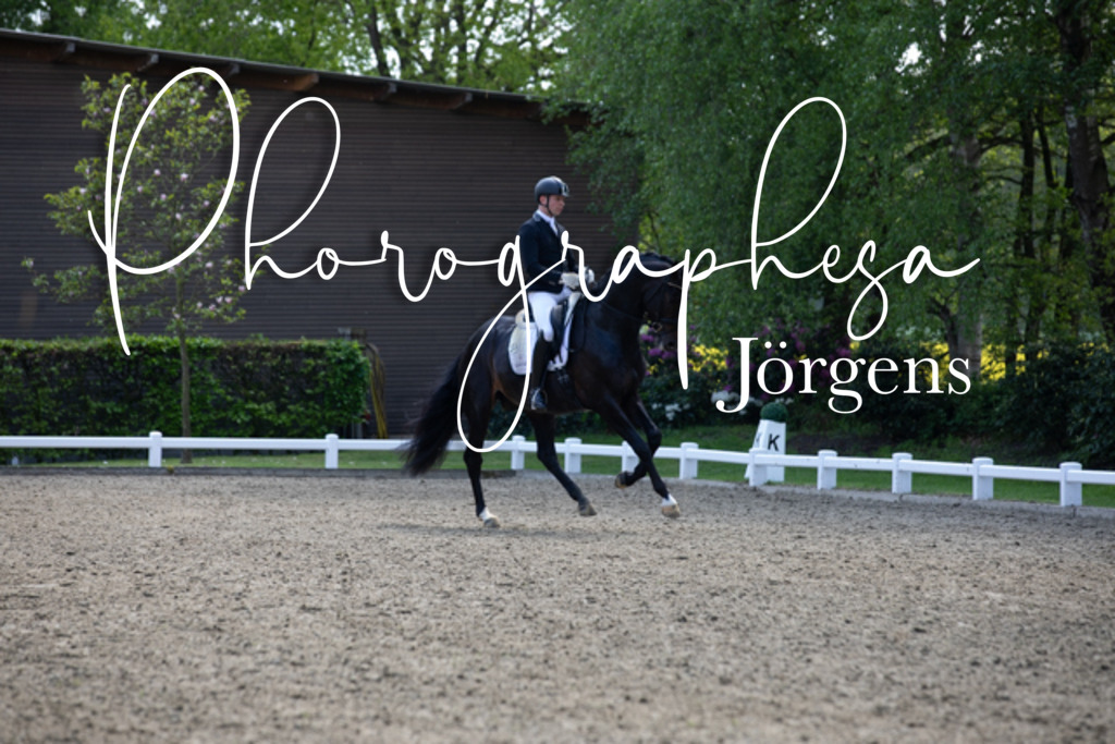 IMG_9279 | photographesa-joergens - Realisiert mit Pictrs.com