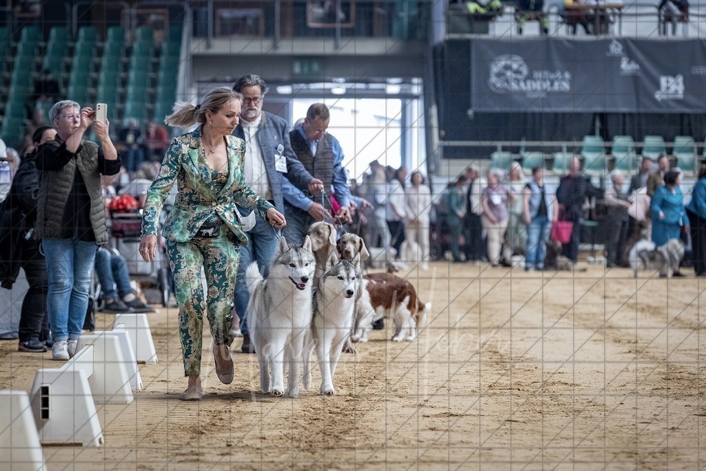 DS - Paarklasse_0019 | Markus Heber Photography