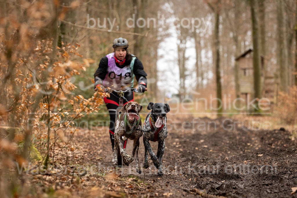 CJ8A1837 | Herzlich Willkommen im Onlineshop von tierische Augenblicke.
Viel Spaß beim aussuchen ihrer Bilder und vielen Dank für ihren Einkauf.
Viele Grüße, ihr Fotograf Stefan Grube