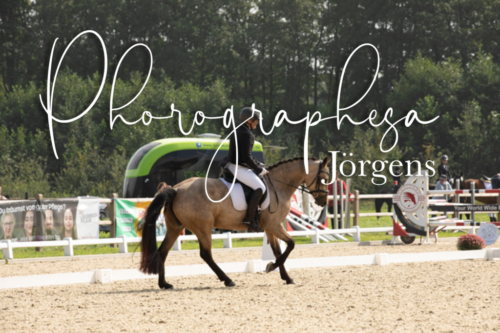 IMG_3721 | photographesa-joergens - Realisiert mit Pictrs.com
