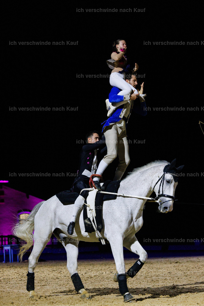 FHClassics-223 | working equitationturnier fotograf videograf stoibphotography marixx film working equitation deutschland reitsport turnierfotografie eventfotografie equestrian events