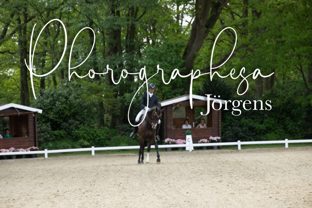 IMG_8471 | photographesa-joergens - Realisiert mit Pictrs.com