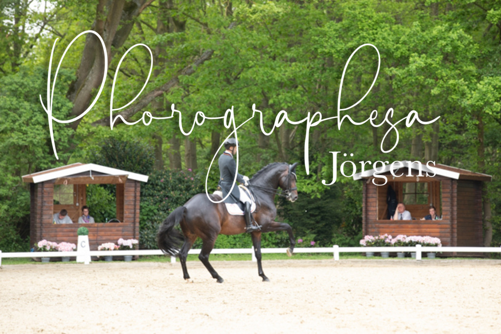 IMG_3322 | photographesa-joergens - Realisiert mit Pictrs.com