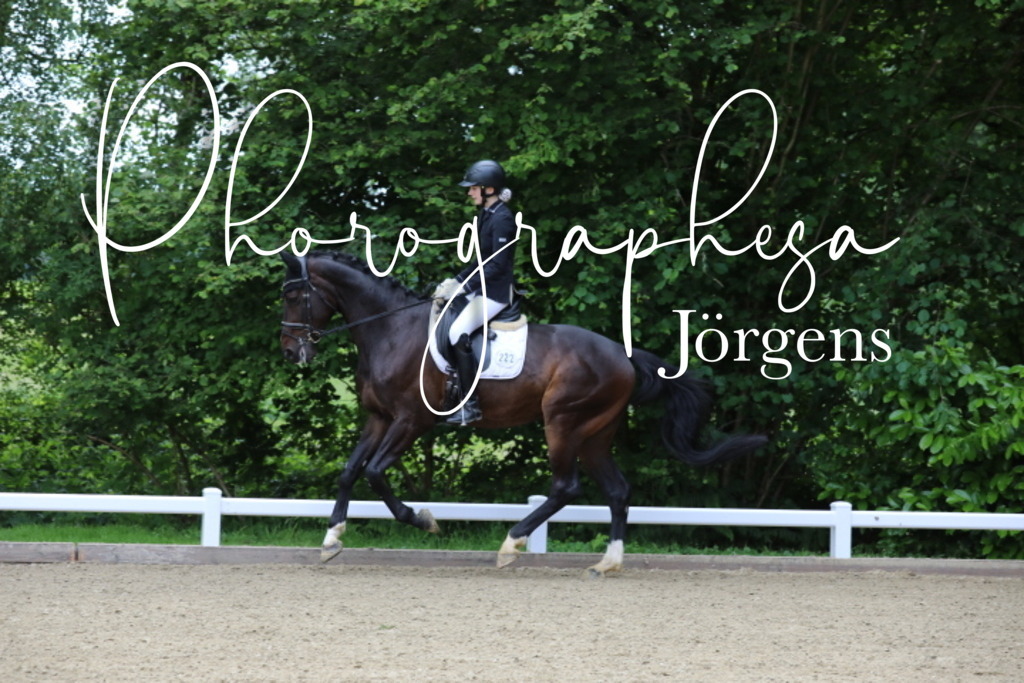 IMG_7785 | photographesa-joergens - Realisiert mit Pictrs.com