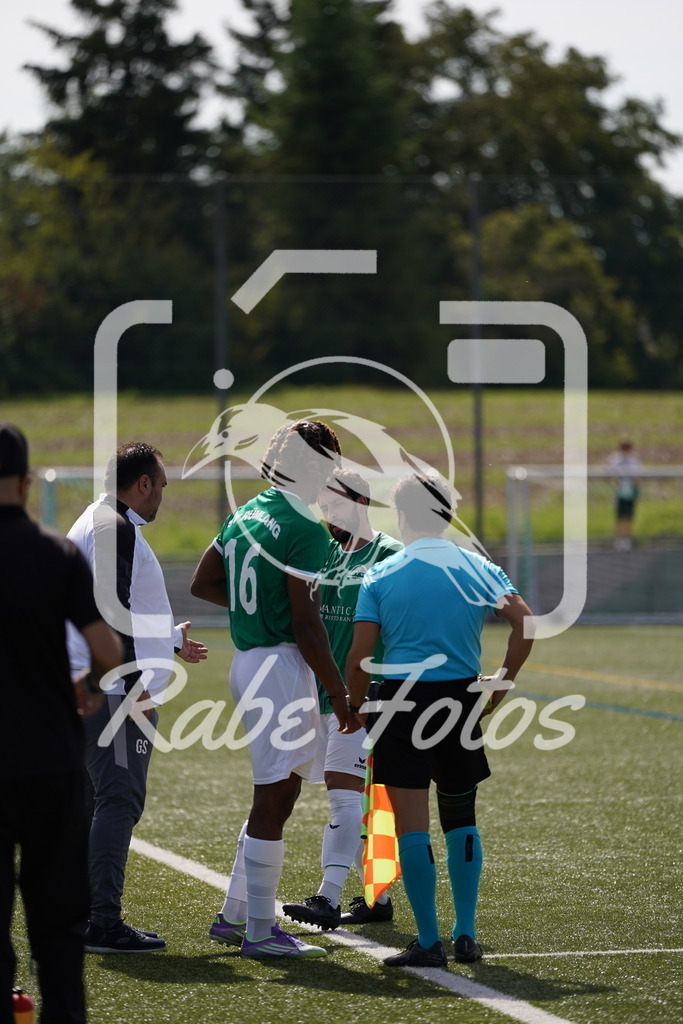 DSC08728 | rabefotos