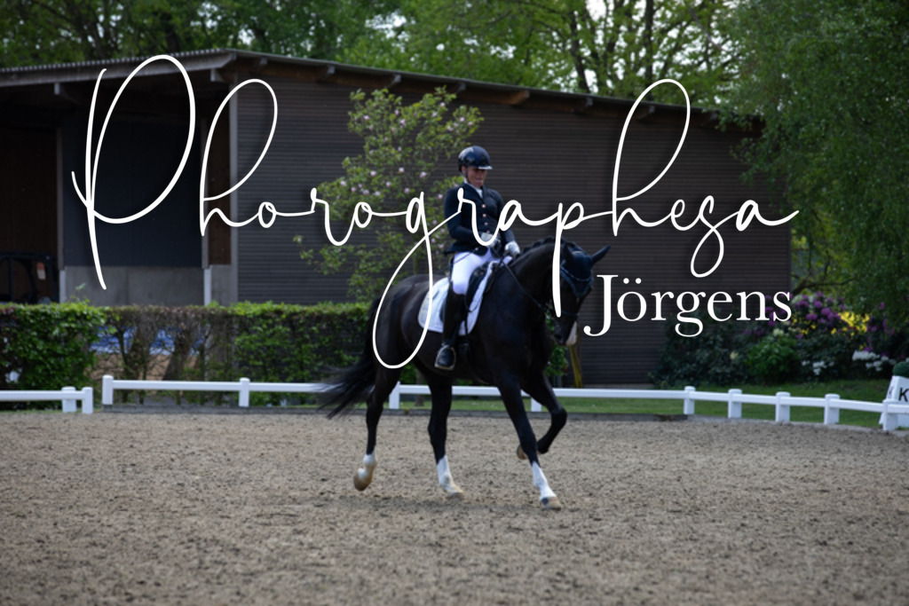 IMG_9363 | photographesa-joergens - Realisiert mit Pictrs.com