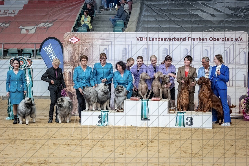 DS - Zuchtgruppe_0027 | Markus Heber Photography