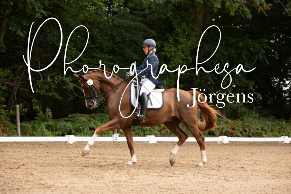 IMG_2507 | photographesa-joergens - Realisiert mit Pictrs.com
