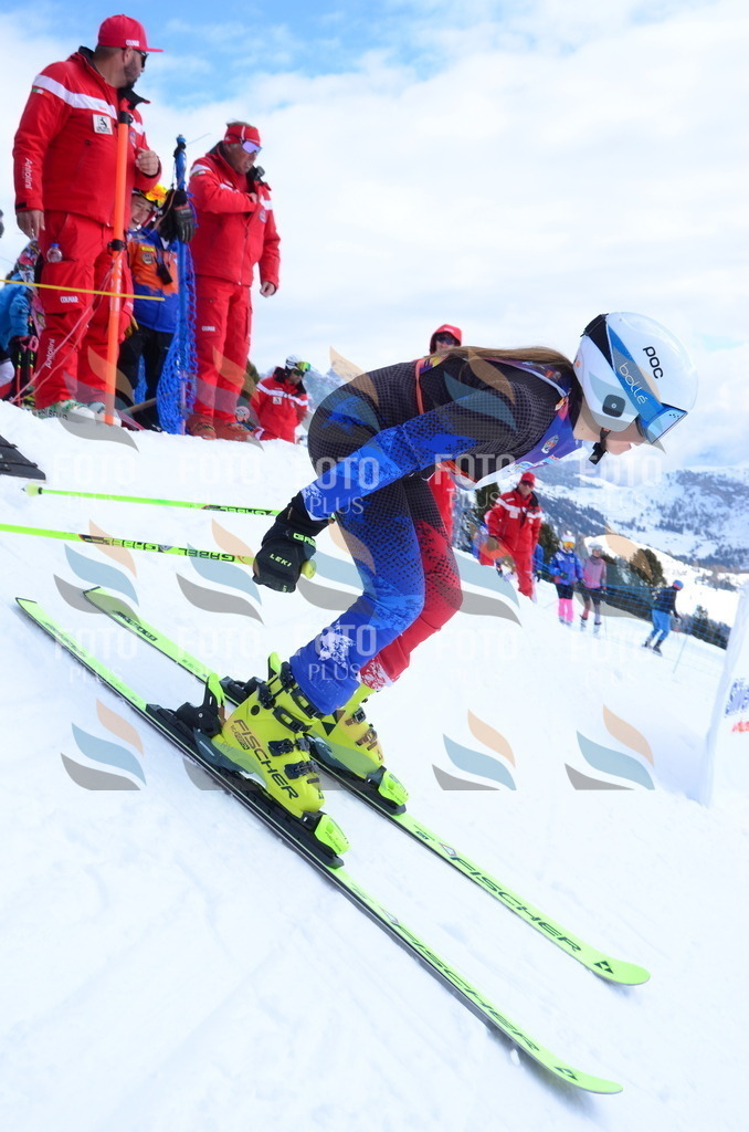 ALE_0132 | holidayphoto