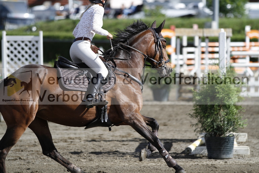 _MG_4582 | equestrian-live-com