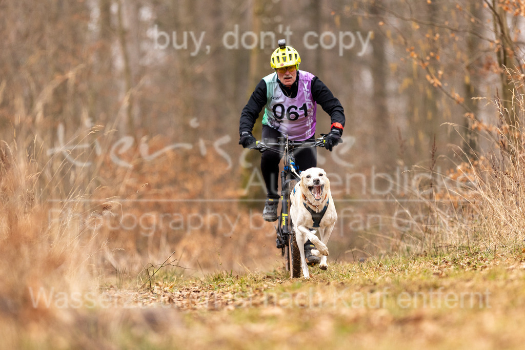 CJ8A0073 | Herzlich Willkommen im Onlineshop von tierische Augenblicke.
Viel Spaß beim aussuchen ihrer Bilder und vielen Dank für ihren Einkauf.
Viele Grüße, ihr Fotograf Stefan Grube