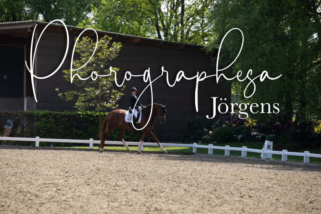 IMG_8981 | photographesa-joergens - Realisiert mit Pictrs.com
